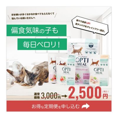バナー #041