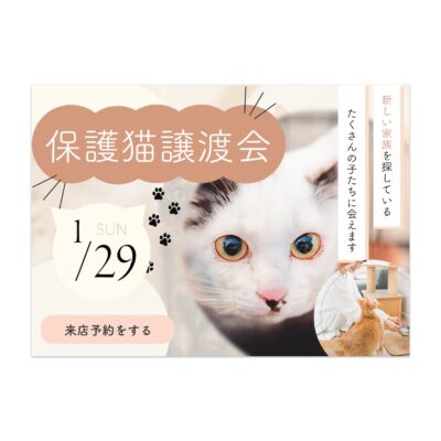 バナー #071