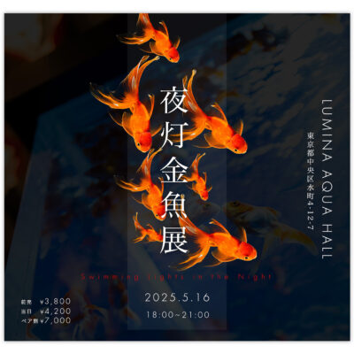 バナー #164